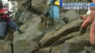 【地震】被災地で活躍　「伝説の警備犬」が引退（11/04/15）