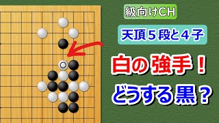 【囲碁】級向け・4子局　ぼ~と見てるだけで碁がわかる