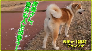 秋田犬【朝陽】チャンネル【お母さん、意外な人に出会う！】