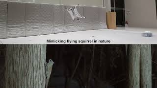 [IROS2023] A highly maneuverable flying squirrel drone with foldable wings (final version)