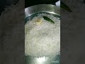 শুধু শুধু ভাত খেতে হলো foodlover viral