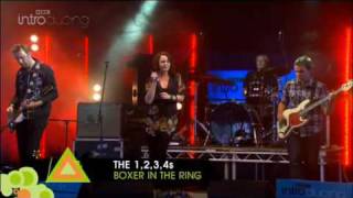 Glastonbury: The 1, 2, 3, 4s - Boxer in the Ring