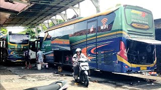 YANG KANGEN PAK KETUA MEREPET..‼️BUS ALS 270,BUS ALS 246 DAN BUS ALS 311 BERKUMPUL DI JOGJA