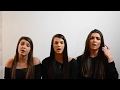 Million Reasons | Lady Gaga + Isn’t She Lovely | Stevie Wonder (Danyluk Sisters Cover)