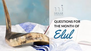 Questions for the Month of Elul - Rabbi Adam Scheier