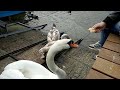 lago di lugano in slow motion oneplus video 4k hd