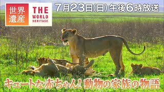 【TBS世界遺産】キュートな赤ちゃん！動物の家族の物語【7月23日午後6時放送】