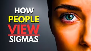 10 Ways the Outside World Views and Judges Sigmas