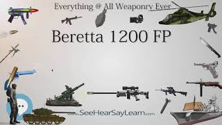 Beretta 1200 FP (Everything WEAPONRY \u0026 MORE)💬⚔️🏹📡🤺🌎😜✅