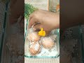 telur ayam kampung jadi telur masin  resepi 👍 tradisional mudah difahami