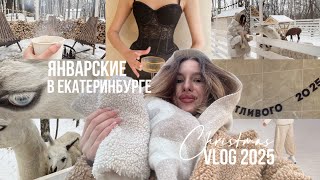 vlog моё начало года 2025: мама в гостях, обстановка квартиры, альпаки 🦙