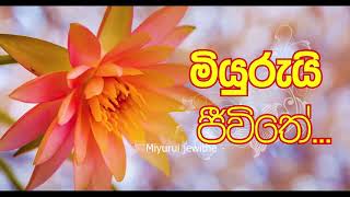 මාසෙන් කෝටිපතියෙකු වන මග