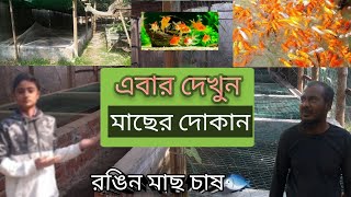 এবার দেখুন মাছের দোকান।। রঙিন মাছ চাষ।। Ahnaf \u0026 animals