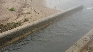 walk from Saltcoats to Ardrossan in the rain