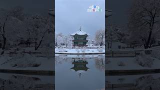 하얀 왕국이 된 경복궁의 눈꽃 풍경 | Gyeongbokgung Palace has becaom a White Kingdom