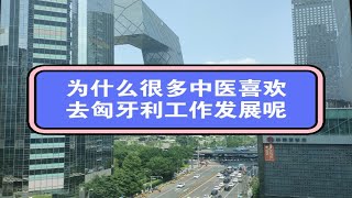 为什么很多中医大夫喜欢去匈牙利工作发展呢？