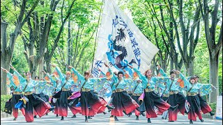 【公式】北里三陸湧昇龍22「天宿ル」｜（彩夏祭　マイタウン公園通り北演舞場　1回目）