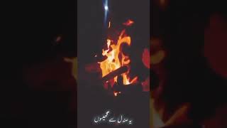 Ye jhothi numaish ye jhothi banawat || Ustad Nusrat Fateh Ali Khan || Whatsapp status video song