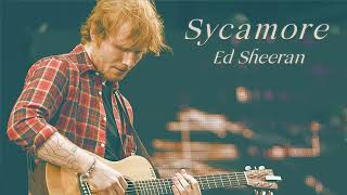 Vietsub | Ed Sheeran - Sycamore | Lyrics Video