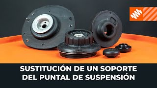 Сómo cambiar las сopelas del amortiguador [VÍDEO TUTORIAL DE AUTODOC]