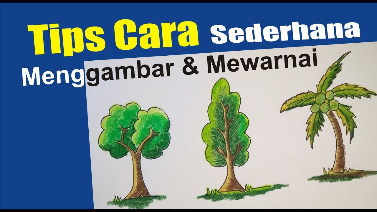 Cara Menggambar Pohon Sederhana Dan Mewarnai - YouTube