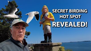 Another Secret Birding Hot Spot REVEALED.