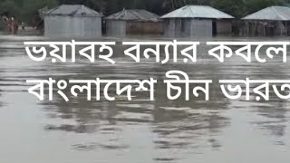 বন্যায় জীবন জীবীকার সাথে নরছে বান ভাসি মানুষ