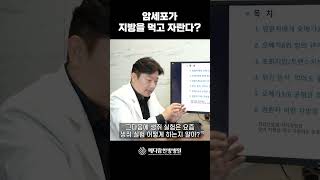 암세포가 지방을 먹고 자란다?