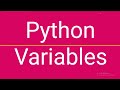 Python Variables Explained for Beginners (Fast & Easy!)