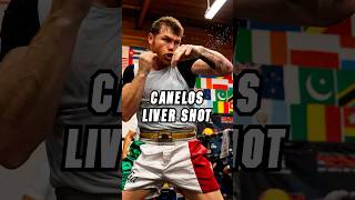 Canelo’s liver shot is a masterclass in timing and precision. 💥🥊#boxing #canelo #boxingtraining