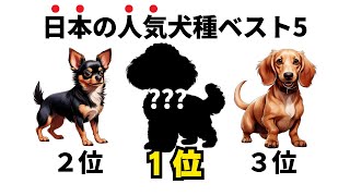 【犬の雑学】この犬種が8万頭超え！日本の人気犬種ランキングTOP5｜意外な1位の理由が判明