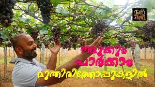 Meghamalai Road Trip \u0026 Grape Vineyards | Meghamalai மேகமலை മേഘമല | Suruli Falls சுருலி விழுகிறது