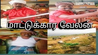 பல ஊர் மாட்டுக்காரன்