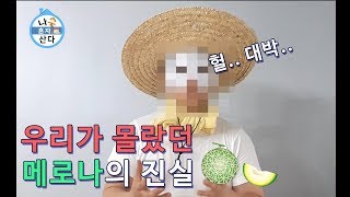 메로나의 진실