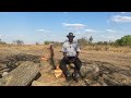 Why I Left the UK and Moved to Zimbabwe