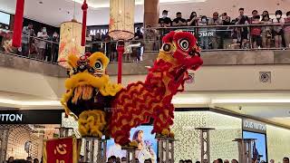 The Epic Acrobatic Lion Dance at Gardens Mall Pre CNY 2024: A Spectacular Sight