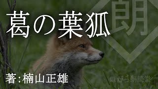 【朗読】葛の葉狐