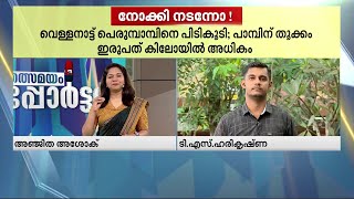 എവിടെ നോക്കിയാലും പെരുമ്പാമ്പ്; വെള്ളനാട്ട് കണ്ടത് JCBയുടെ അടിയിൽ | Python |