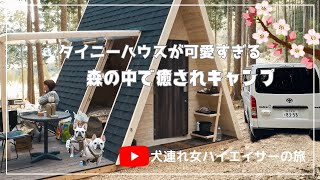 Ground Rock Castle でタイニーハウス泊/ 森の中で癒されキャンプ/ 犬連れハイエース旅