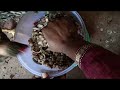 செலவே இல்லாமல் கோழிகளுக்கு உணவு தயாரிப்பு food preparation for chickens at no cost