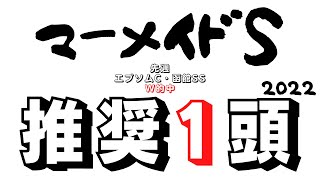 【マーメイドステークス2022】何故か実績通りに決まらない難解牝馬ハンデ重賞！斤量だけではない重要ポイント