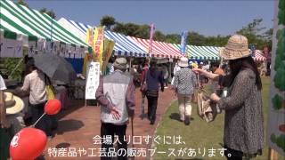 いよいよ開幕する「第34回越前陶芸まつり」