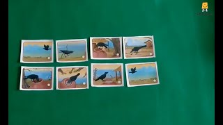 Story Sequencing - Crow (Punjabi) | ਕਹਾਣੀ ਨੂੰ ਕ੍ਰਮ ਵਿੱਚ ਲਗਾਉਣਾ - ਕਾਂ