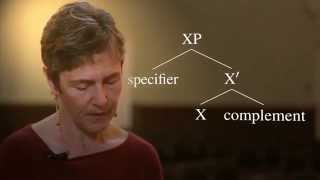 Generative Syntax 4.1: The X-bar Schema