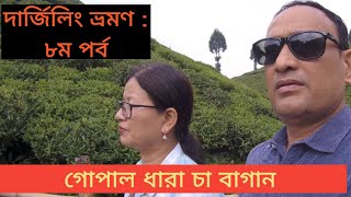 দার্জিলিং ভ্রমণ : ৮ম পর্ব : গোপাল ধারা চা বাগান।