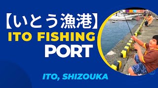 【いとう漁港】Ito Fishing Port #伊東漁港 #静岡県伊東市