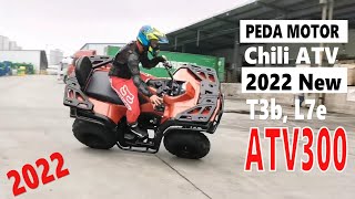 2022 ATV 250cc 300cc CVT T3b EEC COC Euro5 L7e (PEDA Power Sports)