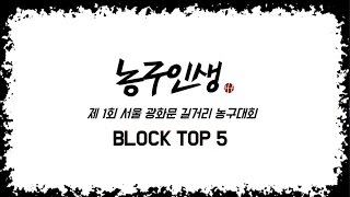 HL 제 1회 서울 광화문 길거리 농구대회 결선 BLOCK TOP 5