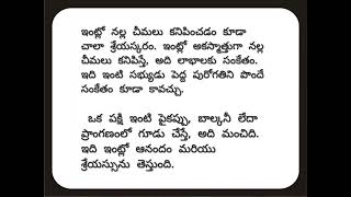 మీరు ధనవంతులు అయ్యే ముందు కనిపించే సంకేతాలు ఏంటో తెలుసా?