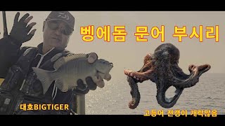 벵에돔 문어 부시리 고등어 전갱이등등(feat:정사모님)...포항 영일신항만 뜬방파제...